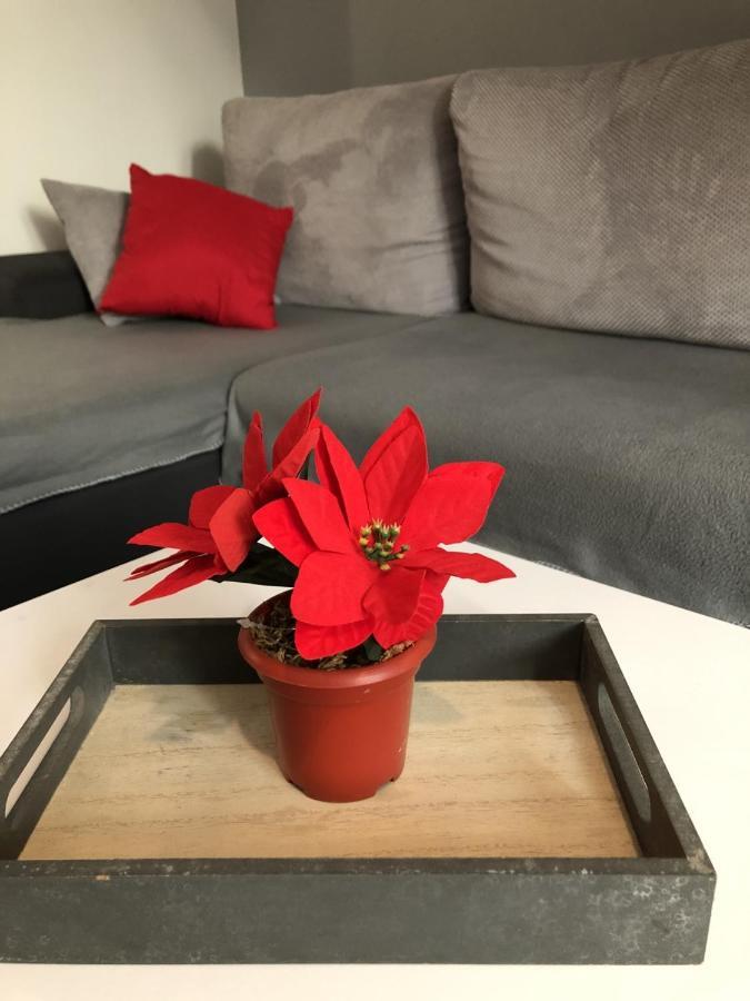 Charming Rijeka City Center Apartment Renee Dış mekan fotoğraf